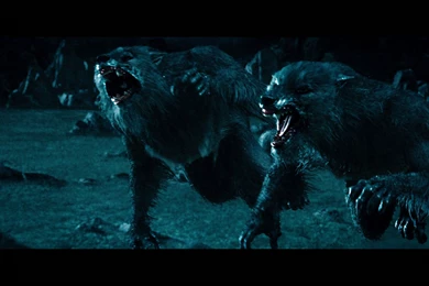 Pics, Facts, Funny Stuff About Animals & Nature Underworld Lycan ...