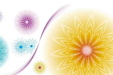 Flowers For Flower Lovers.: Flowers Vector Art Wallpapers.