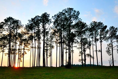 Took This A While Back And Thought It Made A Decent Wallpapers ...