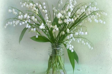 Decent Pose Wallpapers