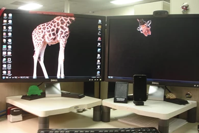 Cool Dual Monitor Wallpapers (pic)