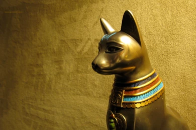 Living, Room, Widescreen, Wallpaper, Paper, Feline, Taken, Golden ...