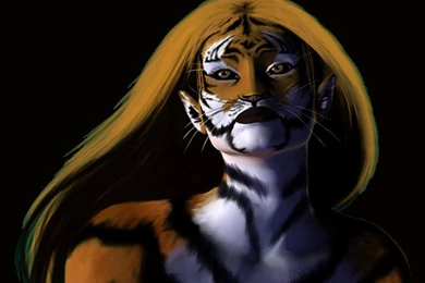 Wallpapers Fantasy Cat Best Hd Free 1024x768