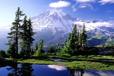 Wallpapers Landscape