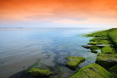 Download Wallpapers 3840x2160 Green, Orange, Moss, Lake, Evening 4K ...