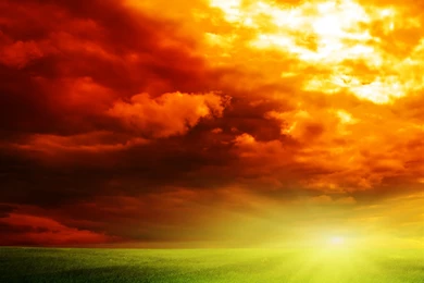 2015 10 09   Page 325