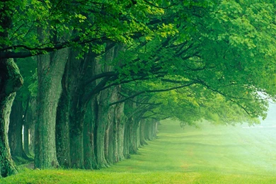 Selection Of Natural Landscape Photography Wallpapers 7 ...