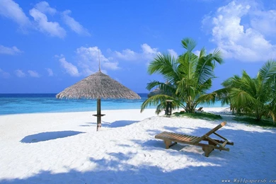 Maldives Beach 1 － Landscape Wallpapers   Free Download ...