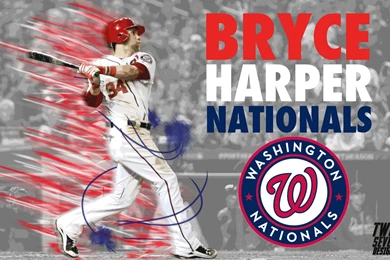 Bryce Harper Wallpapers Hd Free Download