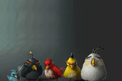 81 Angry Birds HD Wallpapers
