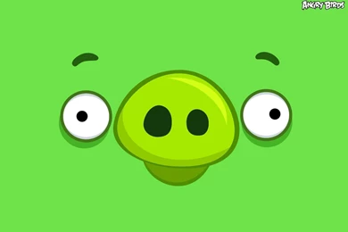 Hd Angry Birds Green Backgrounds Widescreen And HD Backgrounds ...