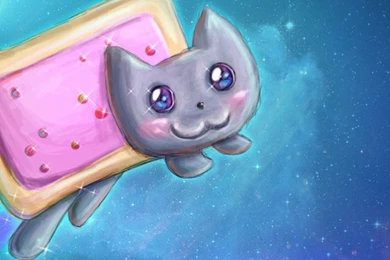 Nyan Cat Wallpapers For iPhone 5