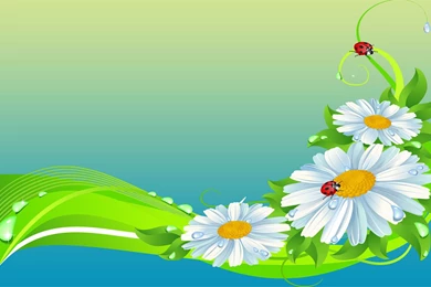 Wallpapers 3D Ladybird Vector Wallpapers