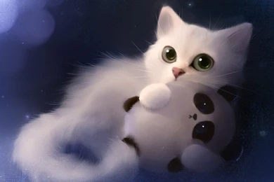 Cute Cat Wallpapers