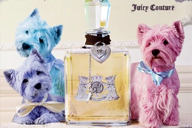Juicy Couture   Juicy Couture Wallpapers (1967139)   Fanpop