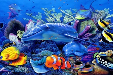 Amazing HD Sea Fish Wallpapers Collection.   Remix Video