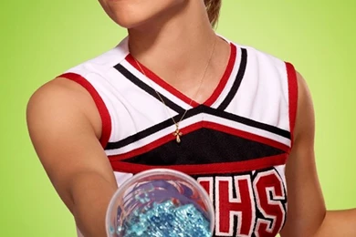 Dianna Agron Glee   Wallpaper.