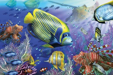FISH IN THE SEA WALLPAPER   (