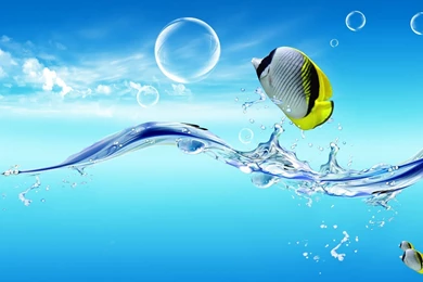 Waterlife, Water, Fish, Ocean, Wallpapers, Sea, Underwater (