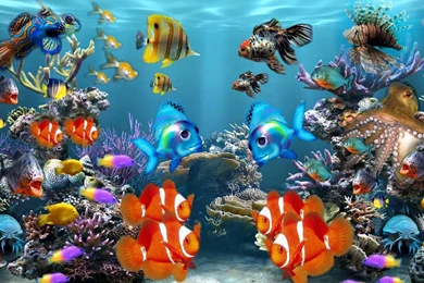 Picture Of Sea Fish On Animal Picture Society