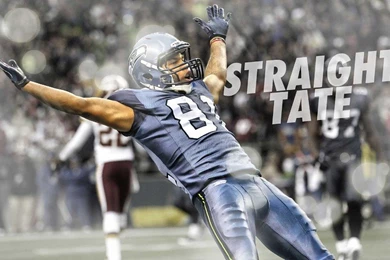 DETROIT LIONS ARIZONA CARDINALS Nfl Football Free Desktop ...