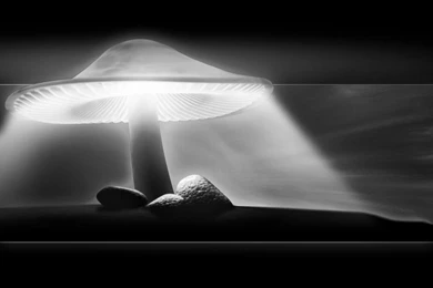 Looking For Sum Dark Wallpapers