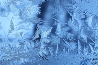 Download Wallpapers 2560x1600 Frost, Patterns, Ice 2560x1600 HD ...