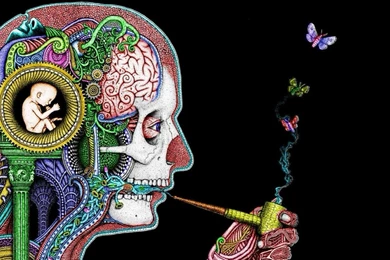 Download Wallpapers, Download 1920x1080 Baby Men Brain Trippy ...