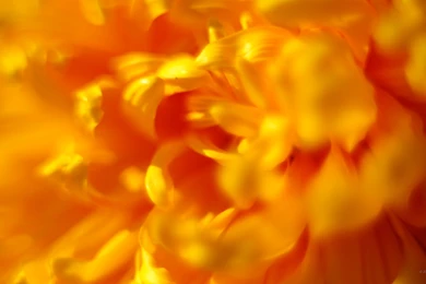 2560x1440 Nature Wallpaper. WQHD 1440p (Wide Quad HD) 16:9 ...