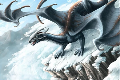 Snow Skull Dragon Wallpapers From Dragons Wallpapers