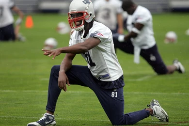 Free Randy Moss Computer Desktop Wallpapers