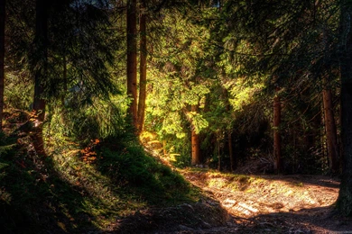 Nature Wallpapers Widescreen