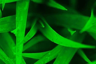 HD Wallpapers For Samsung Galaxy S5   Beautiful, HD Wallpapers ...