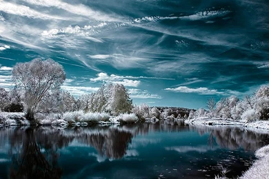 Indonesia SmartFren Andromax V Free Mobile Nature Animals ...