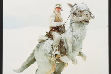 Star Wars,figurines Star Wars Figurines Jar Jar Binks 1440x900 ...