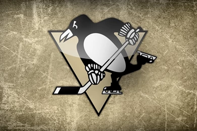 Pittsburgh Penguins High Res Wallpapers   WallpaperCafe