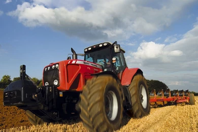 Massey Ferguson Mf. Best Photos And Information Of Model.
