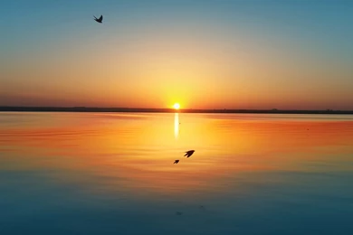 Photograph Ipad Mini Desktop Wallpapers Size Most Recent ...