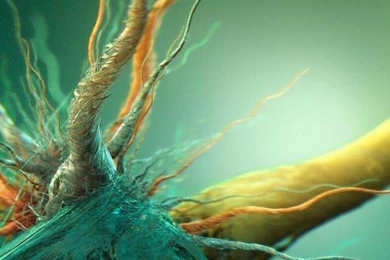 Dimensional 3d Dimensions Root Art iPhone 6 Wallpapers Download ...