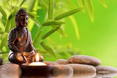 Free Download Lord Buddha HD Wallpapers