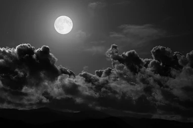 Free Nature Backgrounds 1440x900