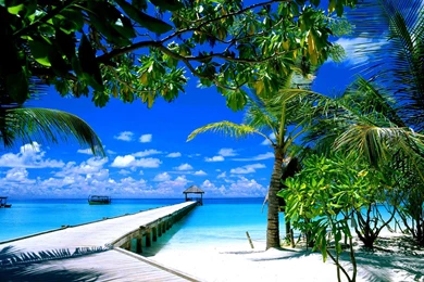 Florida Beach Wallpapers