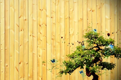 Magic Tree With Parquet Backgrounds Backgrounds In 1440x900 ...