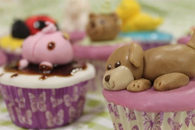 Really Cute Cupcakes   Wallpaper.