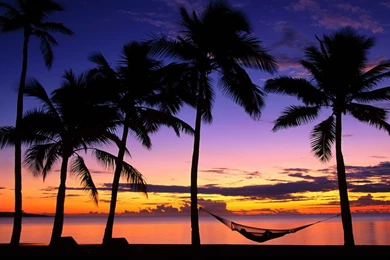 Beach Sunset Wallpapers