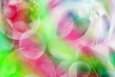 861234 Nice Wallpapers