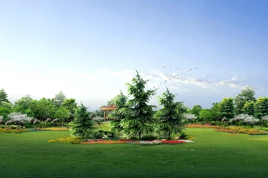 Download Wallpapers 3840x2160 Fir trees, Park, Garden, Lawn, Birds ...