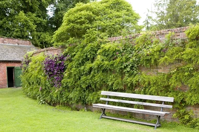 Desktop Backgrounds Of Walled Gardens At Calke Abbey