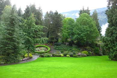 Beauty Green Garden Laptop Backgrounds