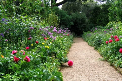 Gardens Wallpaper: Free Wallpapers Free Nature Wallpapers Borde Hill ...